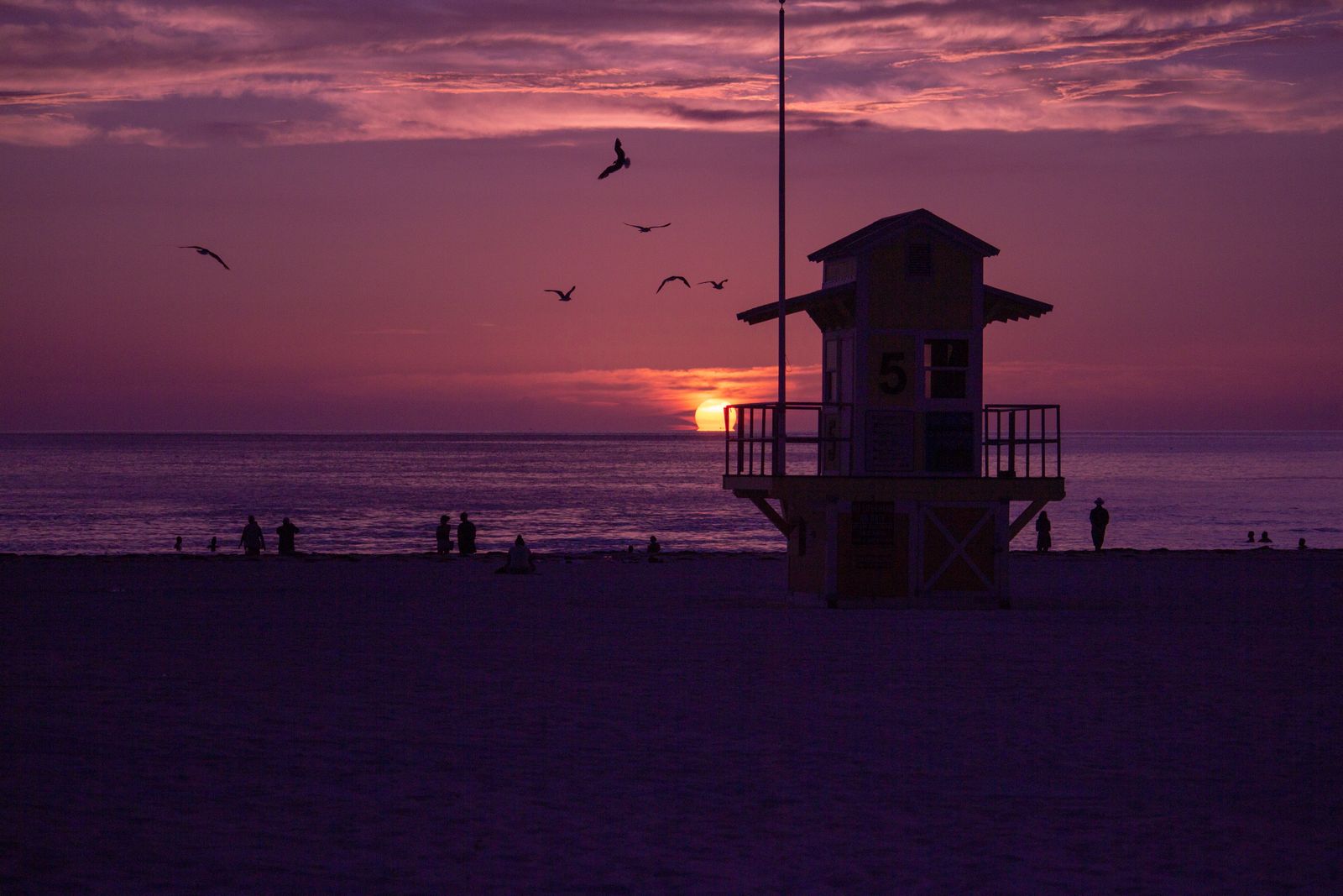 Silhouette of a bird flying over the beach at Clearwater Beach