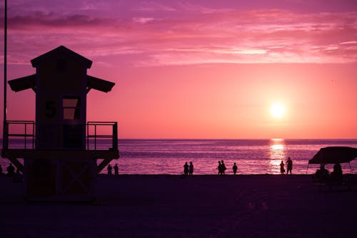 Silhouette of People on the Beach during Sunset