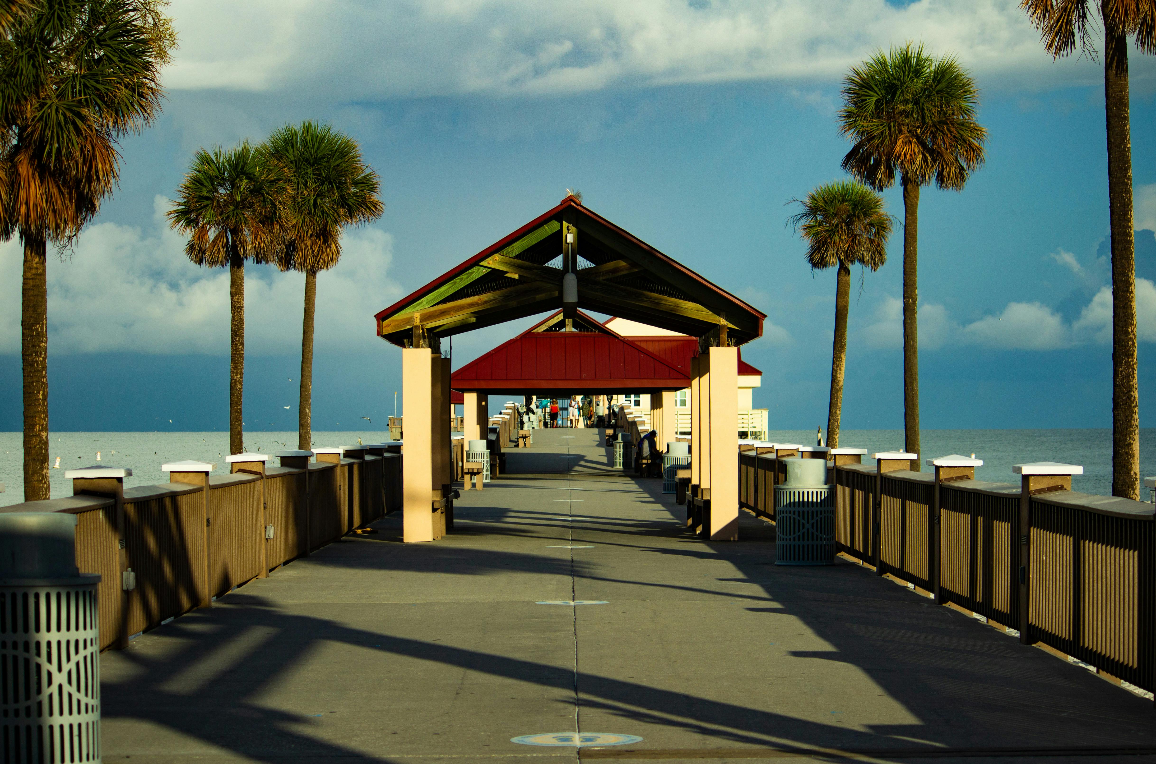 A beautiful summer day at a pier in Clearwater Beach, Florida, with palm trees and ocean views.