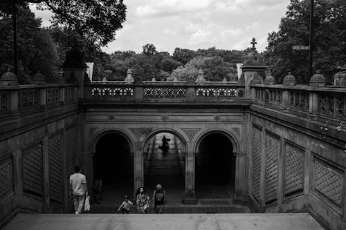 1,500+ Bethesda Terrace Stock Photos, Pictures & Royalty-Free