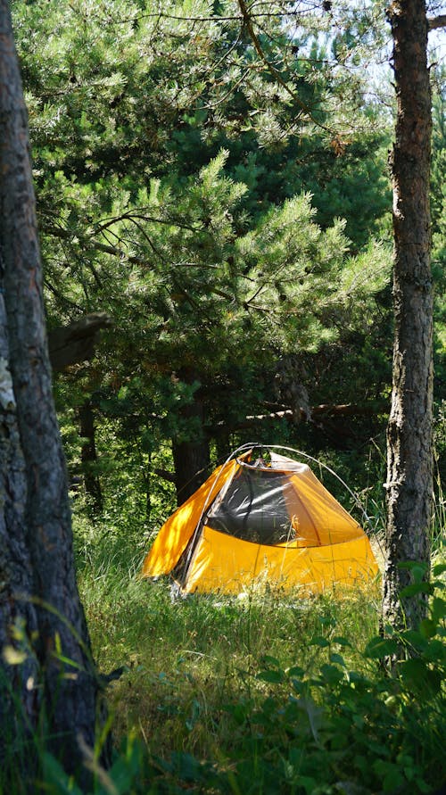 Kostnadsfri bild av camping, grön, gul