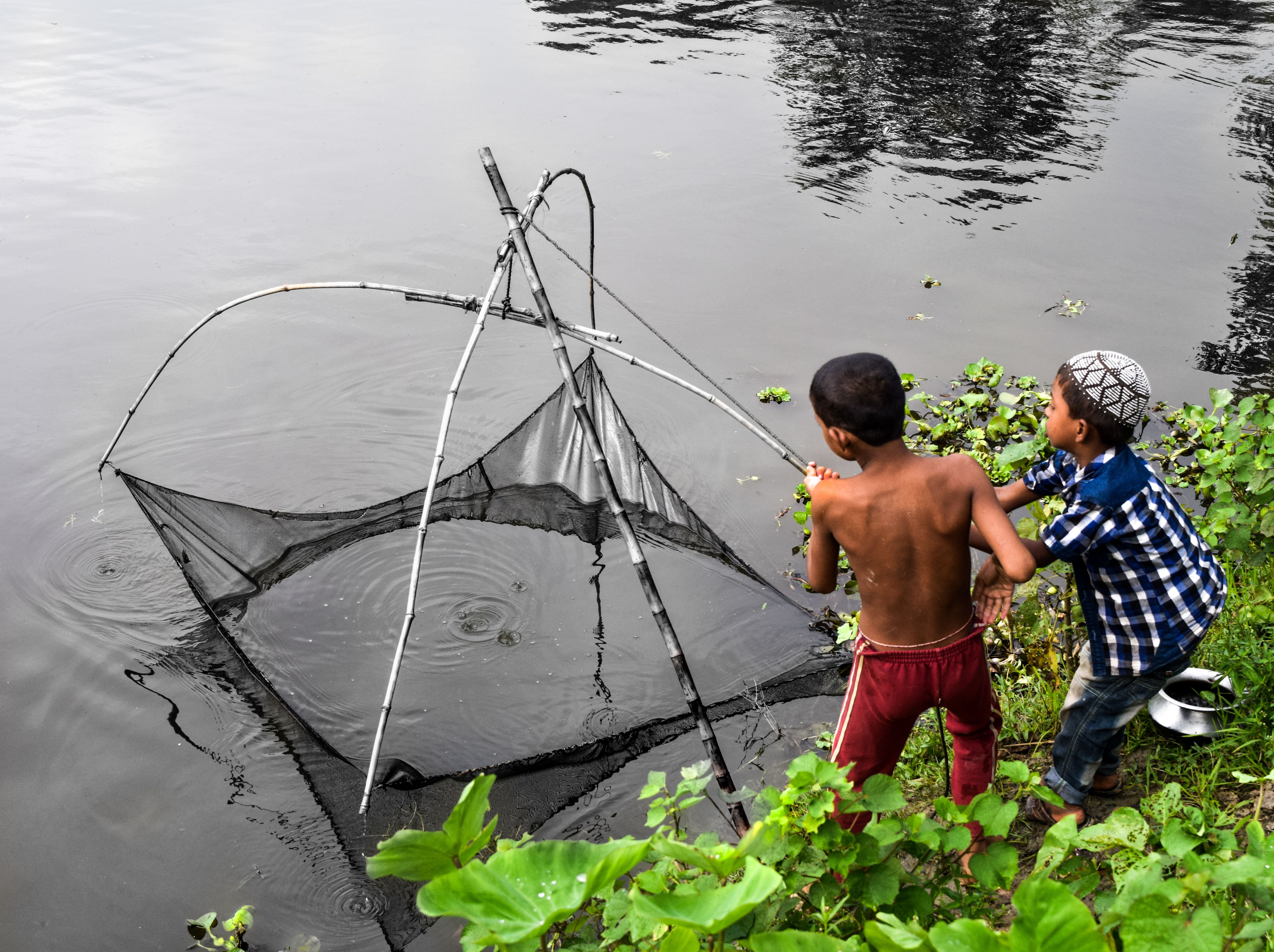 Two young boys fishing with a traditional net beside a lake in a rural setting.