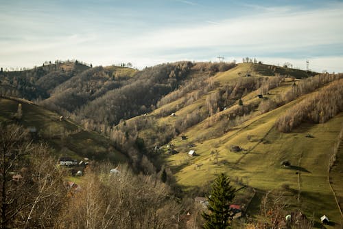 A Small Neighborhood on Green Hills