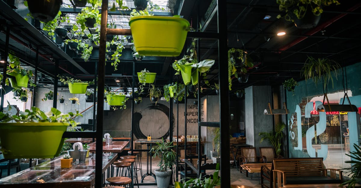 10 Easy DIY Ideas to Revamp Your Outdoor Space