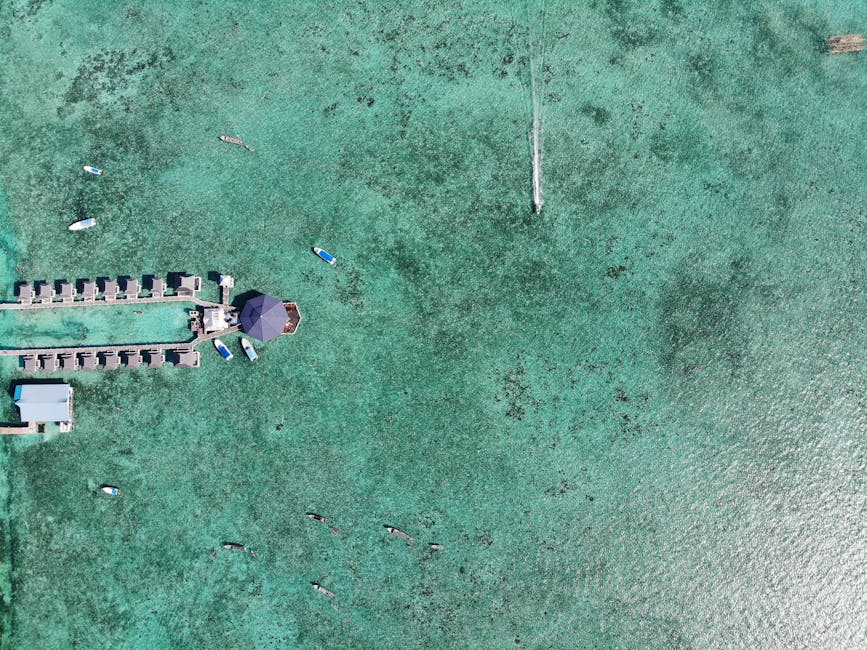Why Malaysia is a Snorkeler's Paradise Why Malaysia is a Snorkeler's Paradise
