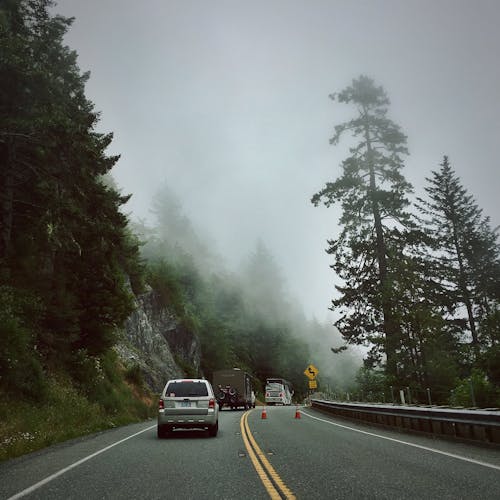 Free stock photo of car, driving, evergreen Stock Photo