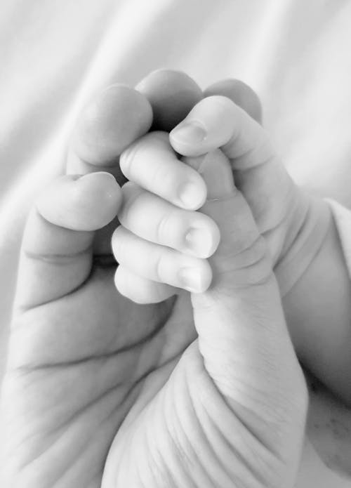 Free Monochrome Photo of a Baby's Hand Holding a Finger Stock Photo