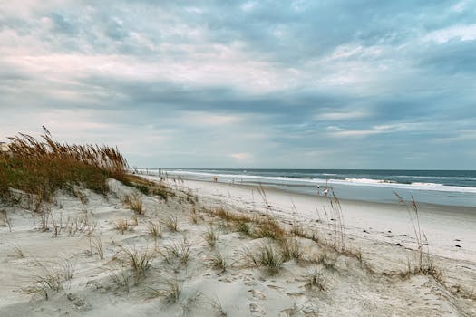 A tranquil seascape with dunes and ocean waves at Jacksonville Beach, FL.