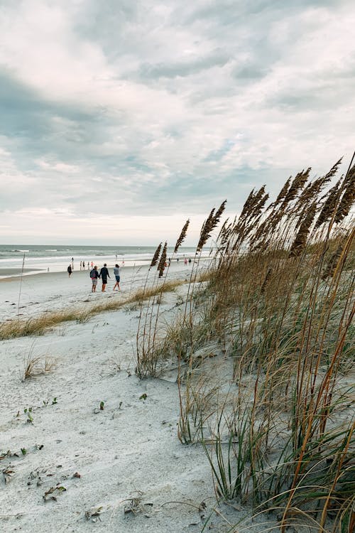 People Walking on the Beach