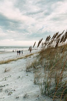 A tranquil scene of Jacksonville Beach with sand dunes and beachgoers under a cloudy sky.