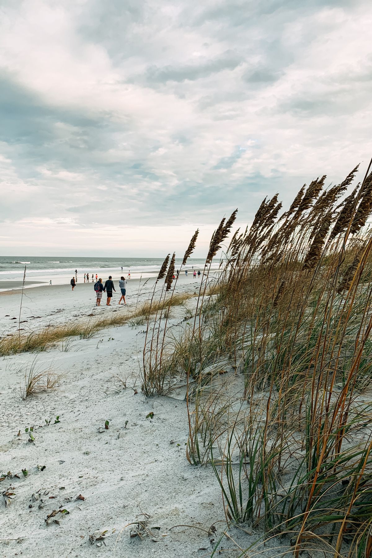 Families on the sand along Jacksonville Beach near the Atlantic Ocean