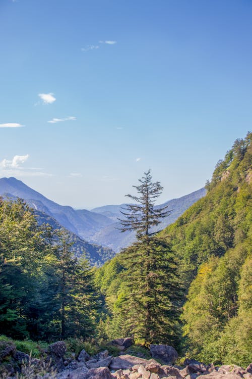 Foto stok gratis bukit, gunung, panorama bagus
