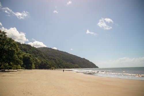 Бесплатное стоковое фото с tropcial, пляж