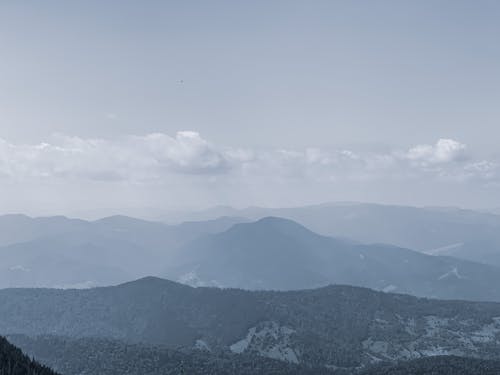 Foggy mountains covered with lush forest