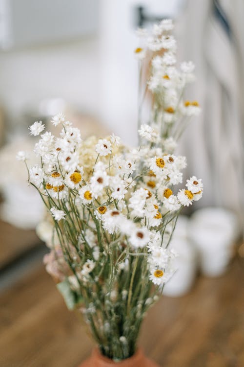 Ingyenes stockfotó fehér virágok, függőleges lövés, homály témában Stockfotó