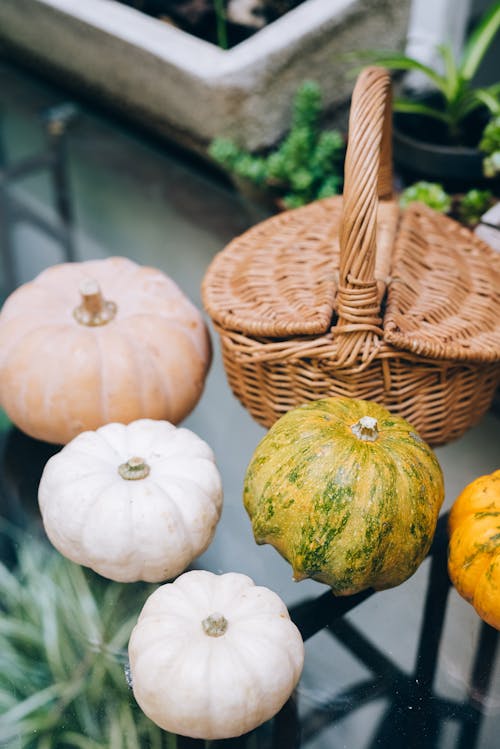 Assorted Pumpkins on the Table