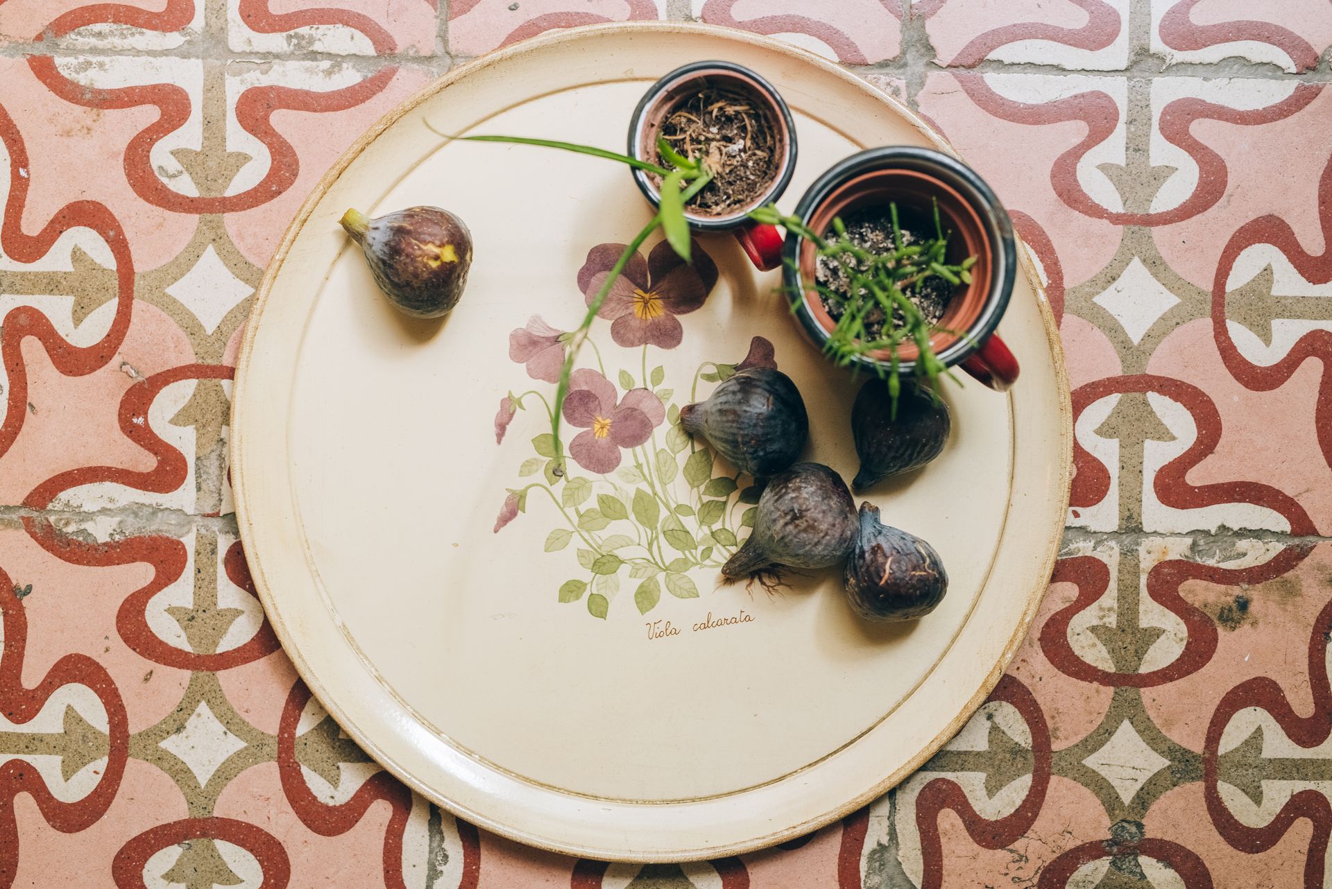 Top view of figs with potted plants on a floral decorative plate on a patterned rustic surface.