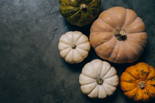 Free Assorted Pumpkins on the Concrete Floor Stock Photo
