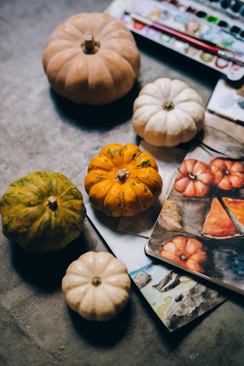 Pumpkins on the Concrete Floor