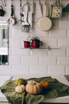 Légumes de saison potager cuisine