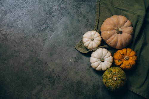 Free Assorted Pumpkins on the Concrete Floor Stock Photo