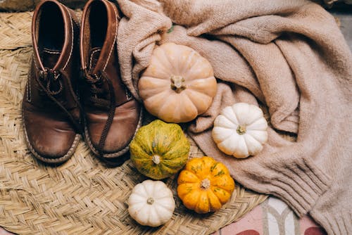 Brown Leather Shoes Beside the Pumpkins