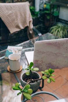 A tranquil outdoor workspace featuring a laptop, potted plant, and a coffee cup on a glass table.