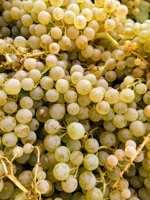 Photo of Green Grapes