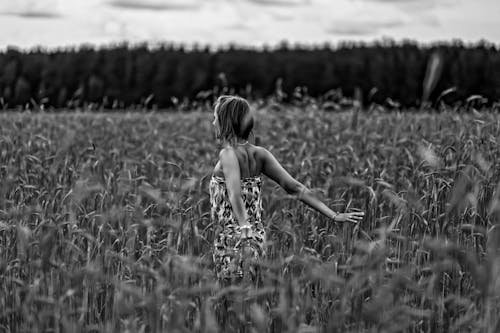 Woman Standing in a Wheat Field in Summer 
