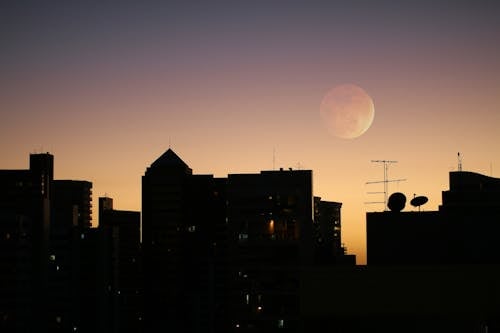 Free stock photo of blood moon, fim de tarde, lua