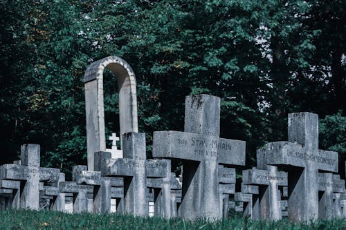 Immagine gratuita di albero, cattolico, cimitero