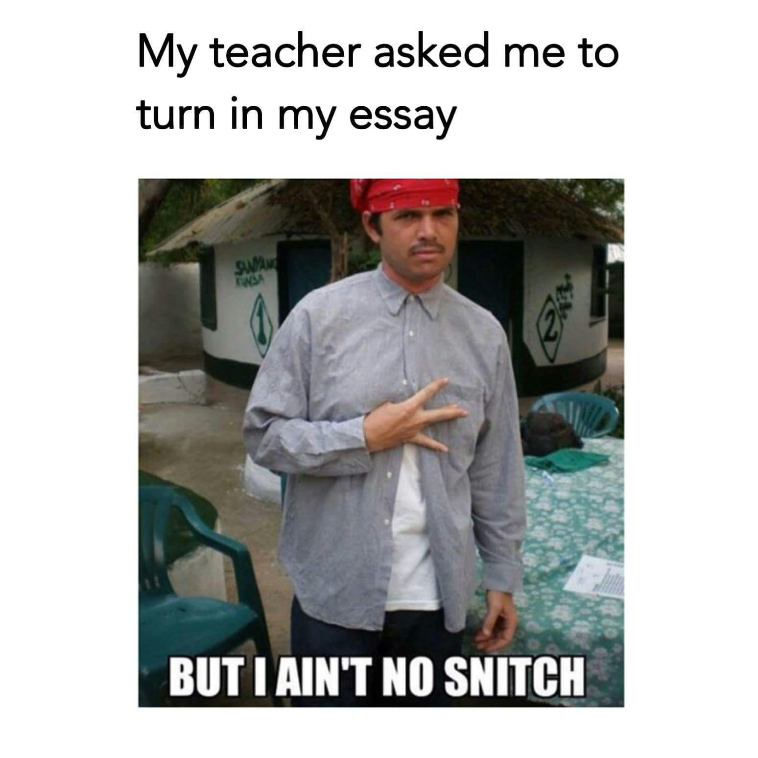 Free stock photo of essay meme