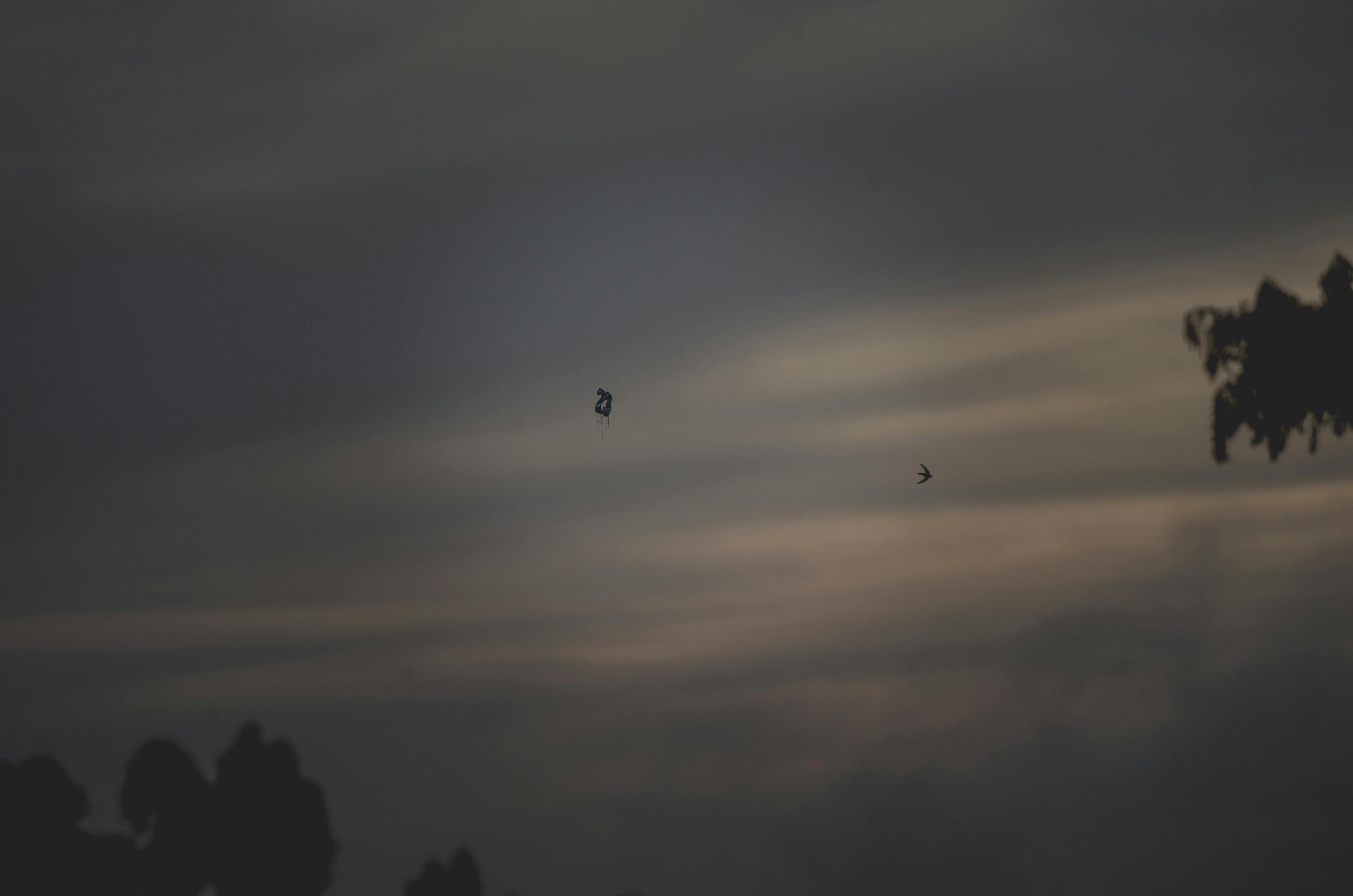 Người đang tìm kiếm trên máy tính