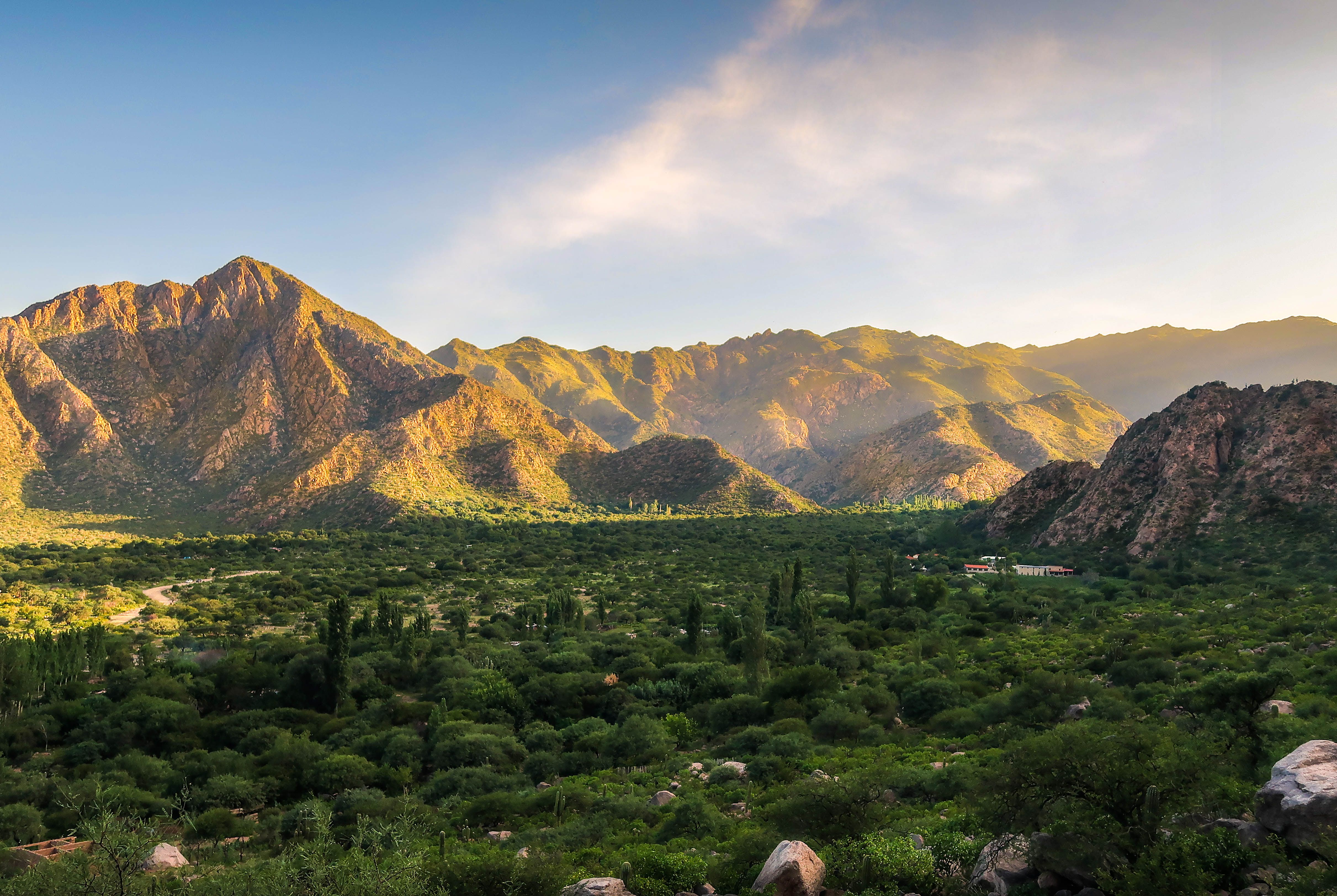 Fotomural Hermosa cadena montañosa y valle exuberante capturados durante el atardecer, mostrando una naturaleza vibrante.