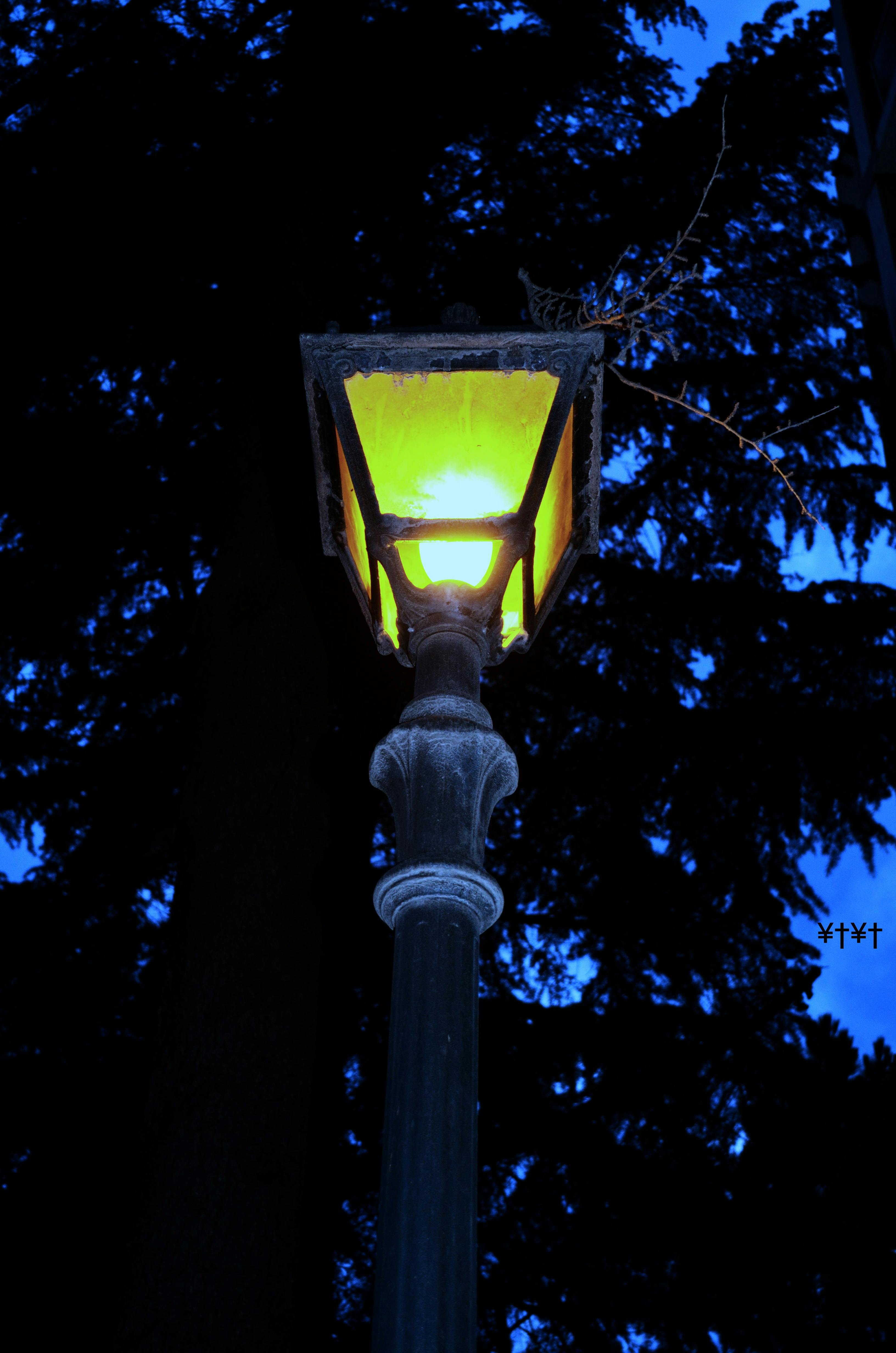 Phỏng vấn xin việc