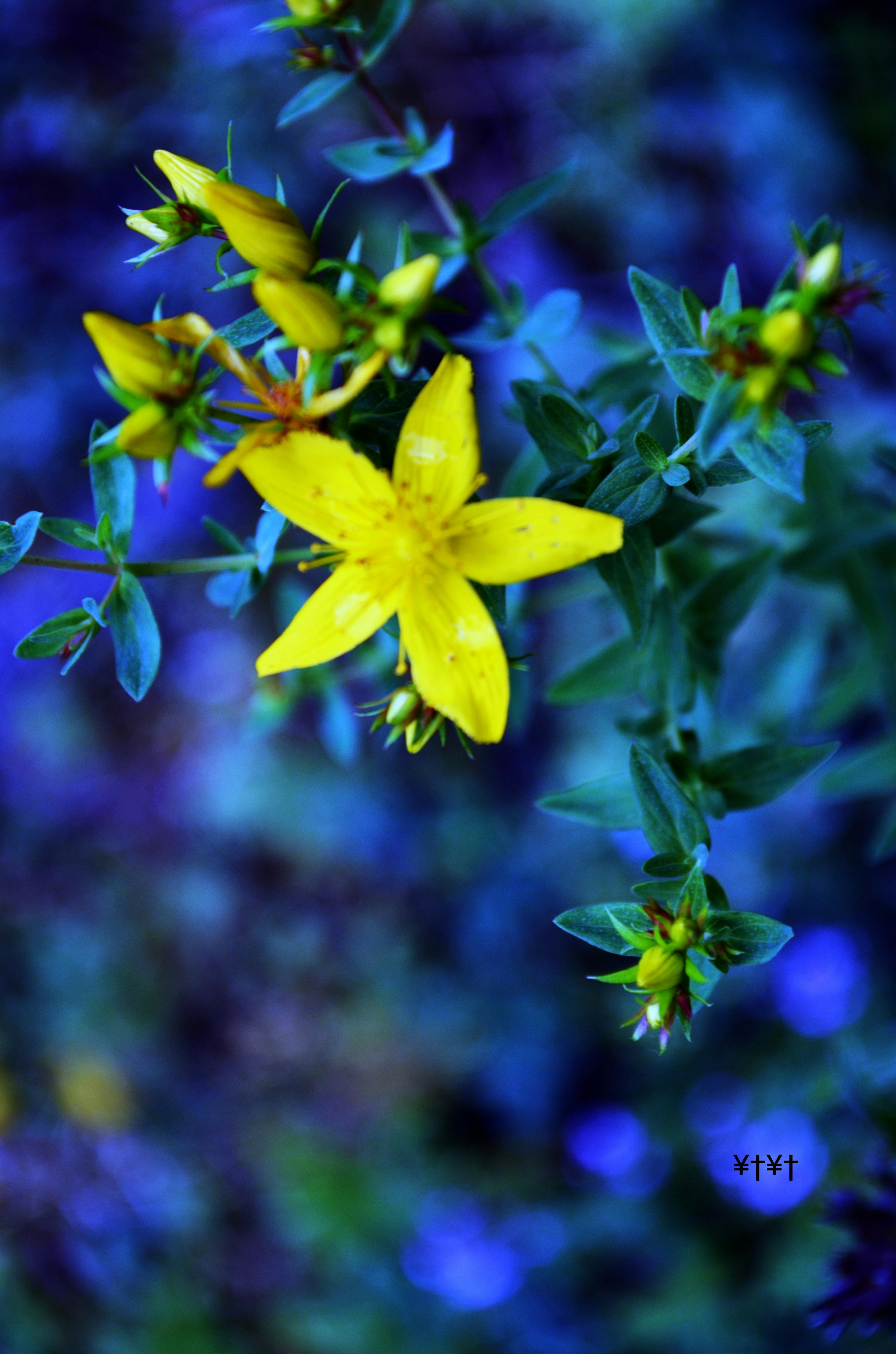 Eine Gruppe von Menschen nimmt an einem Workshop zur Stressbewältigung teil.