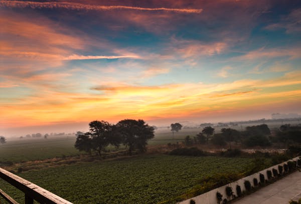 Illuminati Intelligence Networks