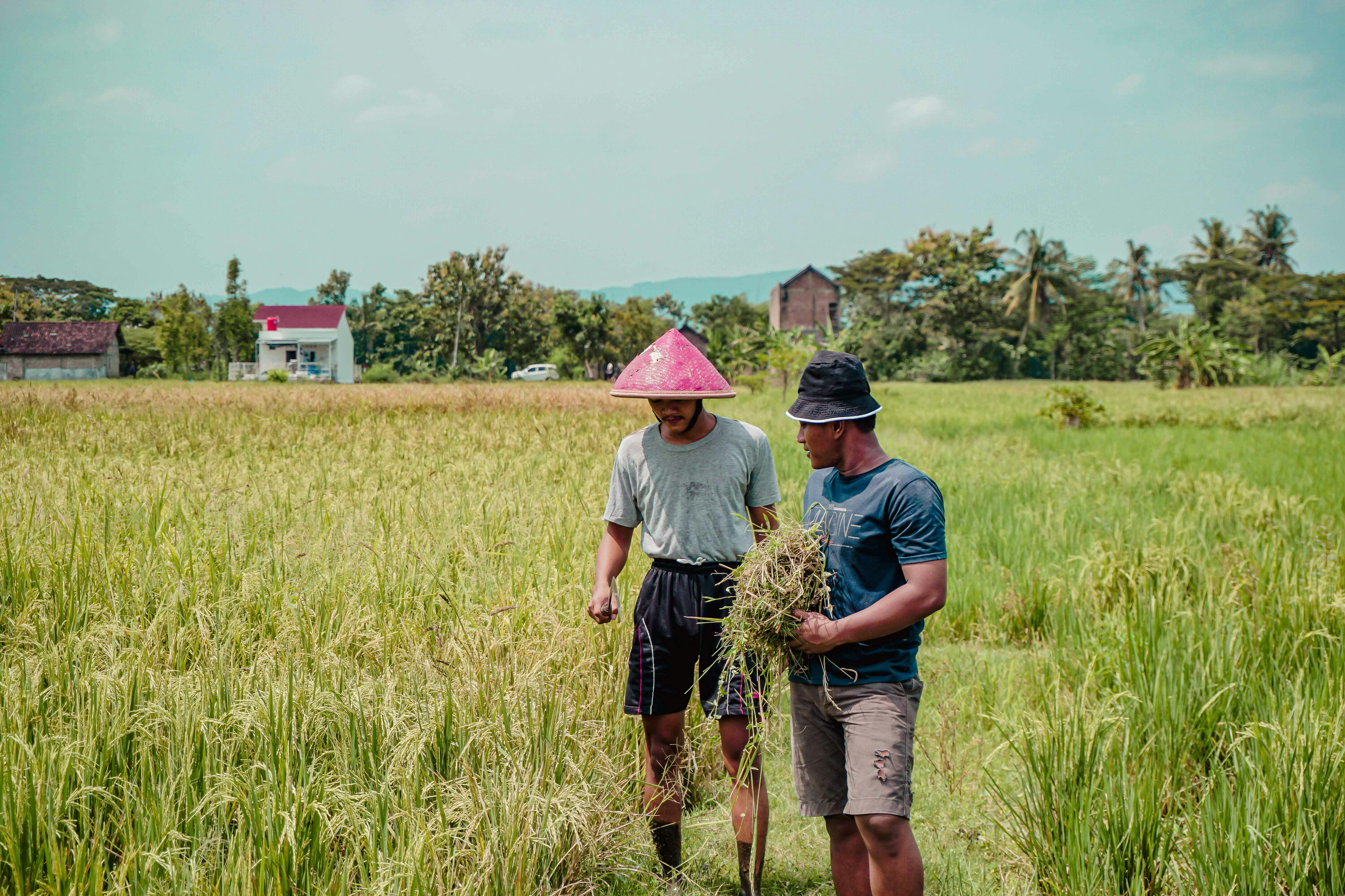 2027: Benue Christian Elders present ex-NCPC boss as consensus candidate