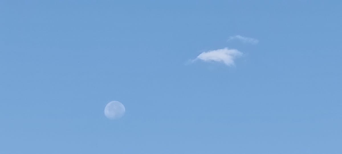 Traveler planning a trip on a laptop with a digital map and smartphone