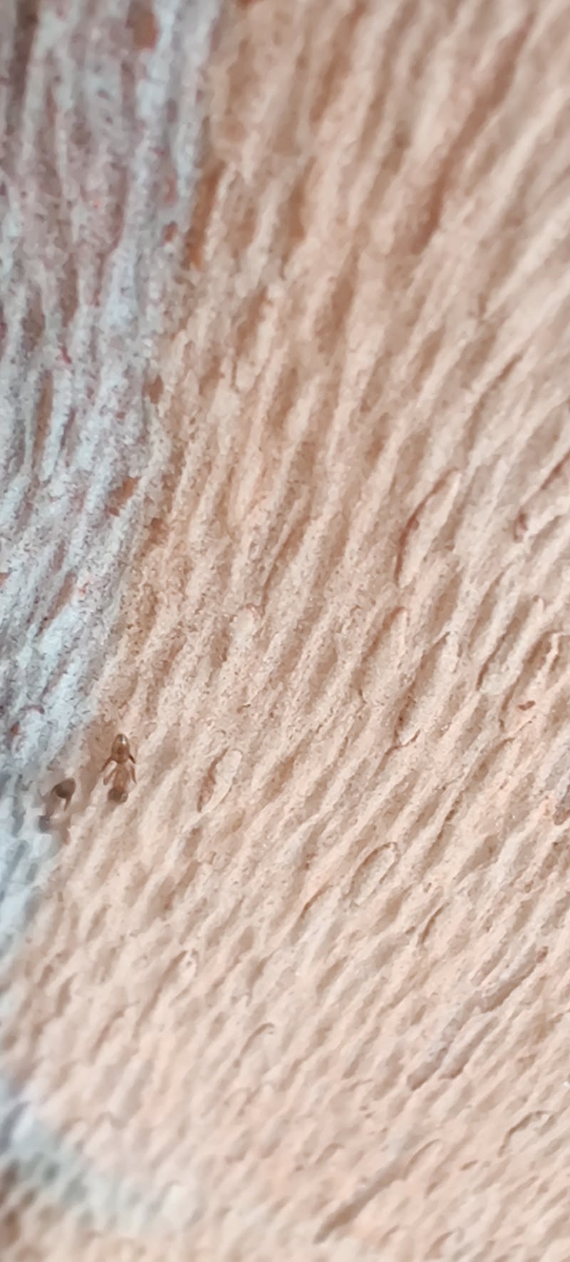 Kalkulator kosztów usług