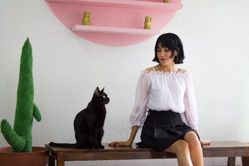 Free Woman Sitting on a Bench with a Black Cat  Stock Photo