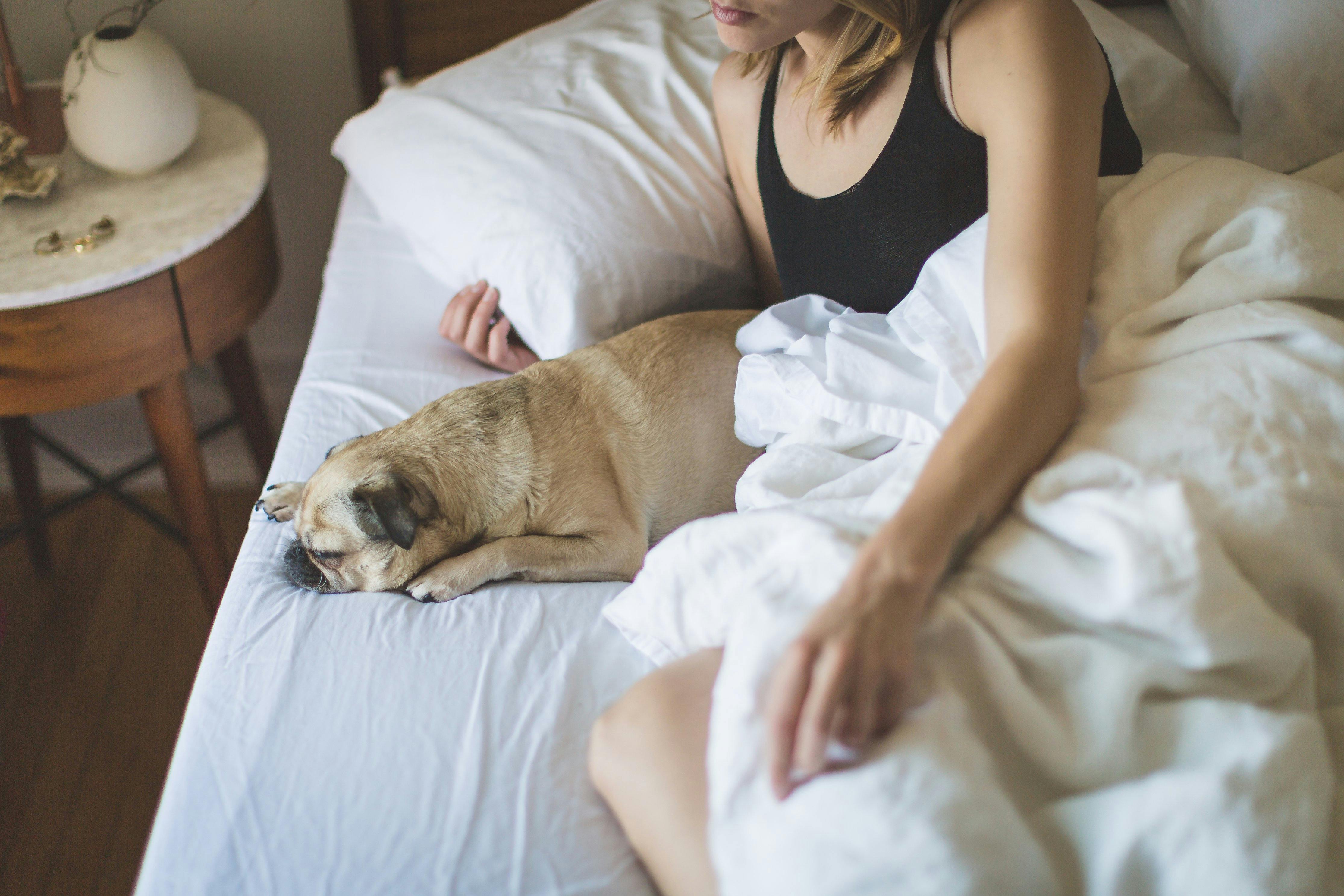 Woman Sleeping · Free Stock Photo