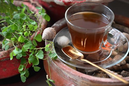 Free A glass tea cup and spoon on a saucer amidst garden pots, evoking a serene vibe. Stock Photo