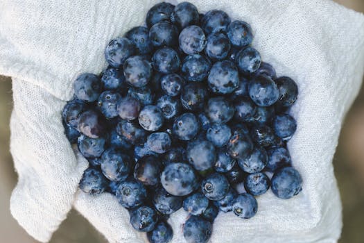 Free stock photo of blur, blueberries, fruit, fresh