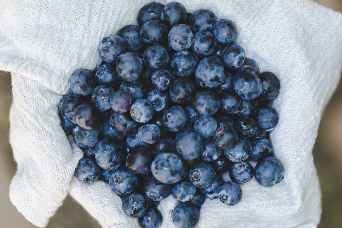 Bunch of Blueberries on White Textile