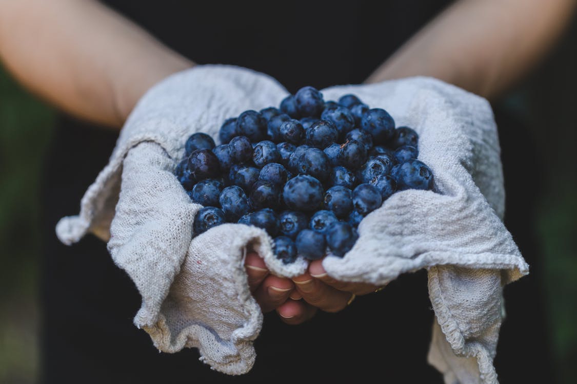 Person Holding Blueberries