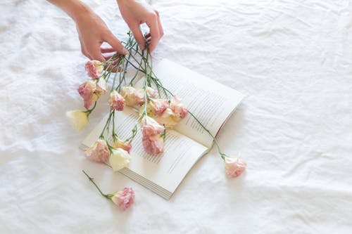 Бесплатное стоковое фото с белые розы, книга, розовые розы