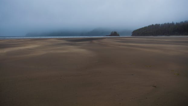 Foggy coastal landscape of San Josef Bay with sandy beach and mist-covered distant forest.