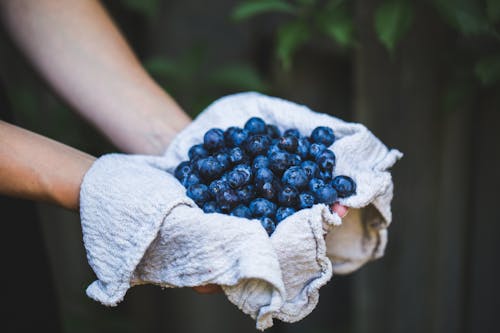 Gratis lagerfoto af bær, blåbær, bundt Lagerfoto