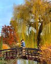 Couple Embracing on Footbridge in Park